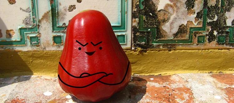 莲雾为什么会摇得响,莲雾会不会导致腹泻