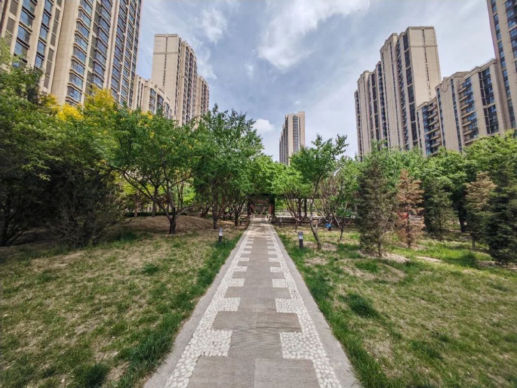 谁是影像机皇,谁才是手机机皇