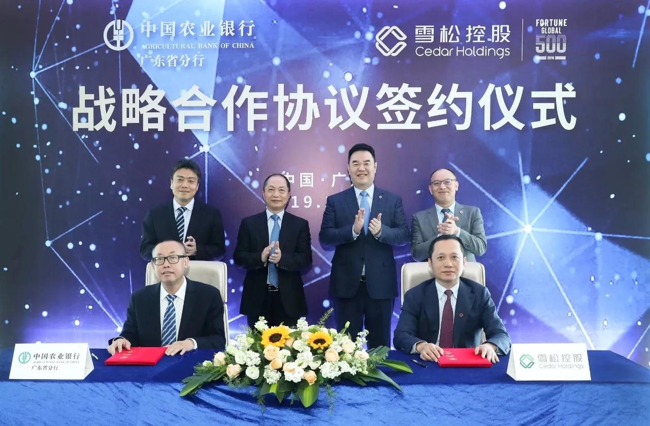 雪松暴雷投资者的钱还能要回来吗,雪松控股爆雷后投资人该怎样做