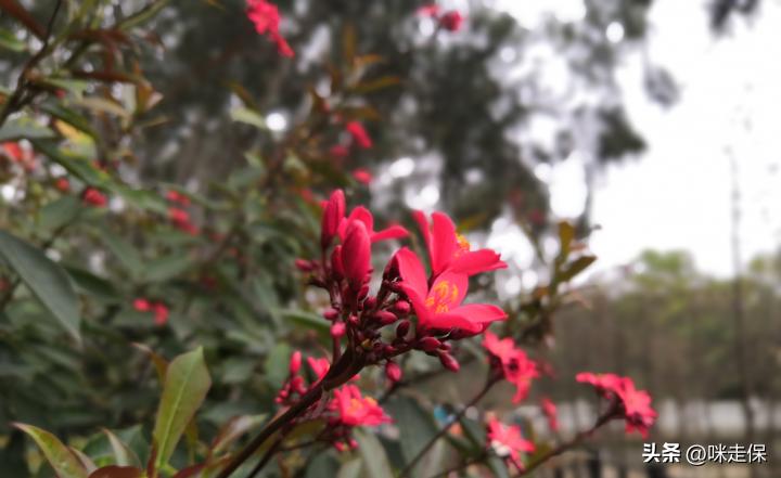 特定养老储蓄有什么用,今年还有特定养老储蓄吗