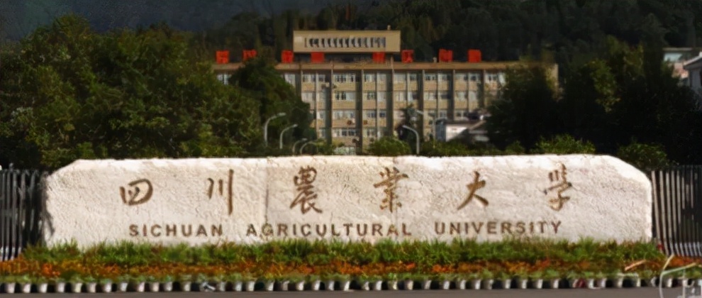 2022年四川专升本录取名额比例,2022年全日制专升本四川官网