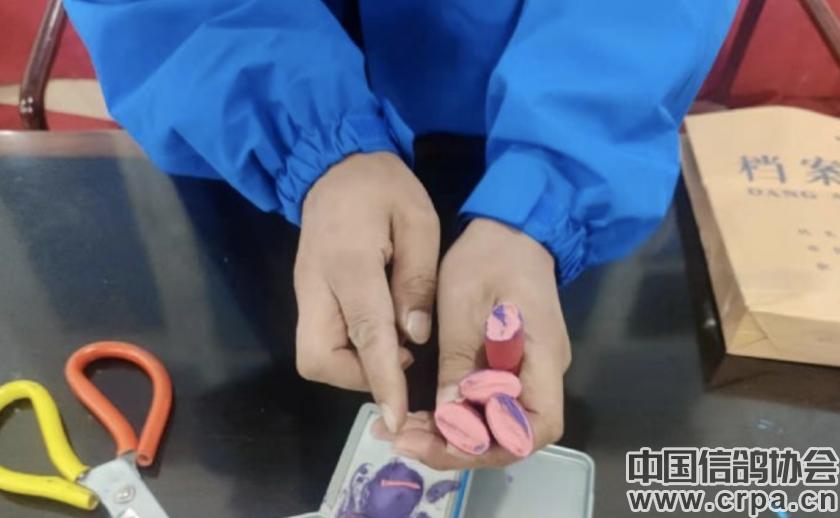 世界杯总决赛7-1,世界杯总决赛后半场回放