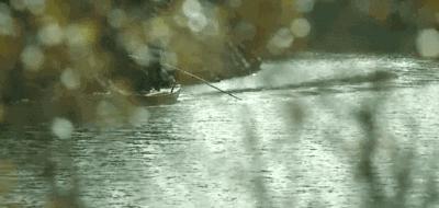 杭黄高铁到婺源,杭黄高铁黄山到杭州