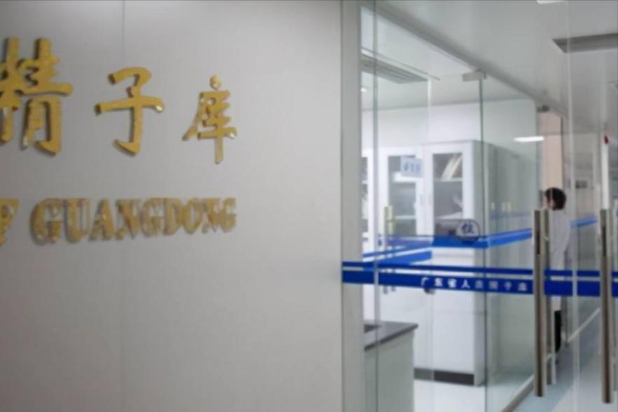 博士11天捐精5次猝死，家属要求400万赔偿，责任谁来承担？