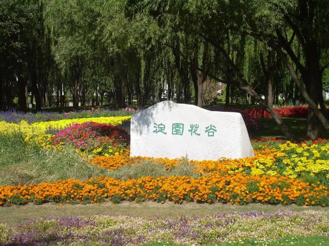 海淀公园相亲小程序,海淀公园相亲角