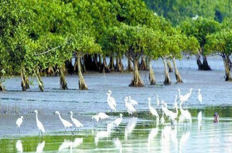 深圳发现好看的地方,发现深圳最美公园