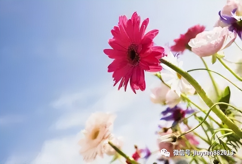 高效沟通的六个技巧案例,一分钟学会沟通100个技巧