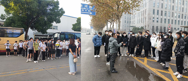 蓝领人力观察,金智人力公司简介