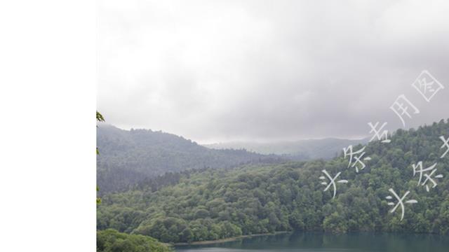 婆婆嫌弃二婚儿媳,婆婆嫌弃儿媳妇二婚