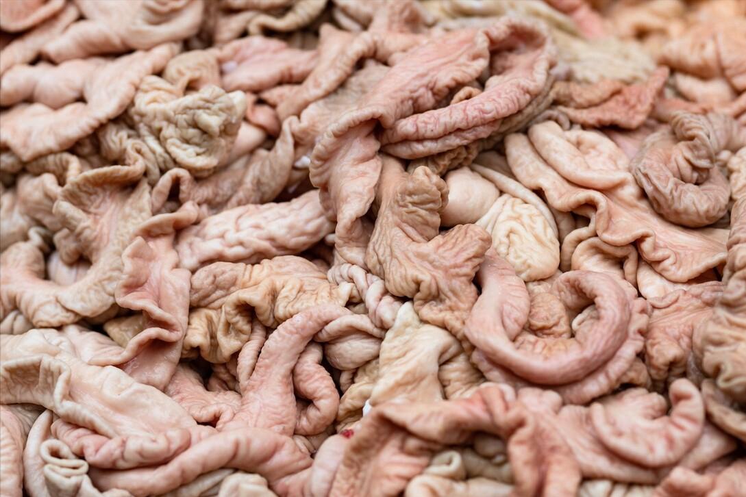 女屠夫清洗猪大肠,屠夫清理猪大肠