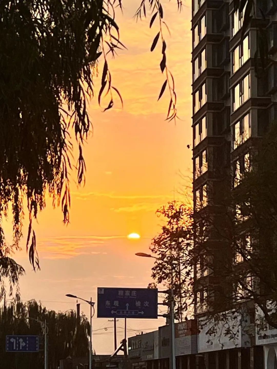 2022年这些瞬间温暖了我们,2022年的一切回顾