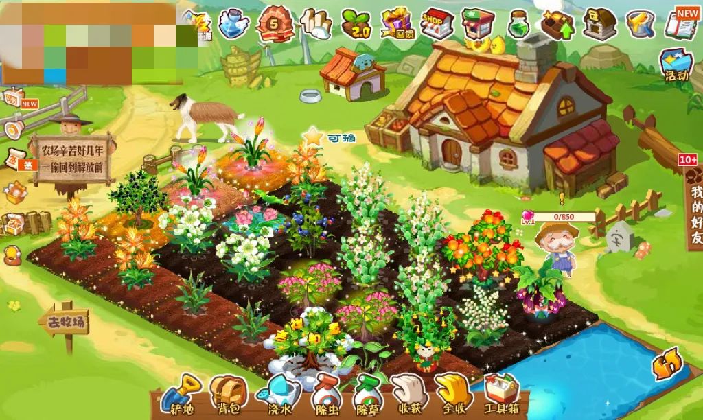 负责人被裁！6亿中国人的记忆存储器，QQ空间走向没落？