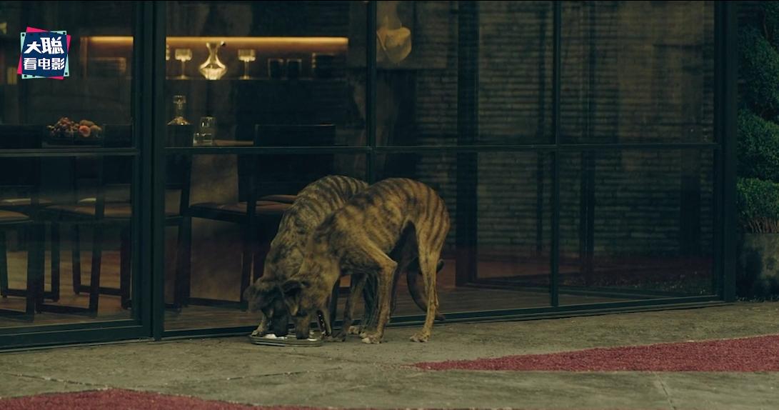 边缘世界第二季深度解析,边缘世界第三集完整