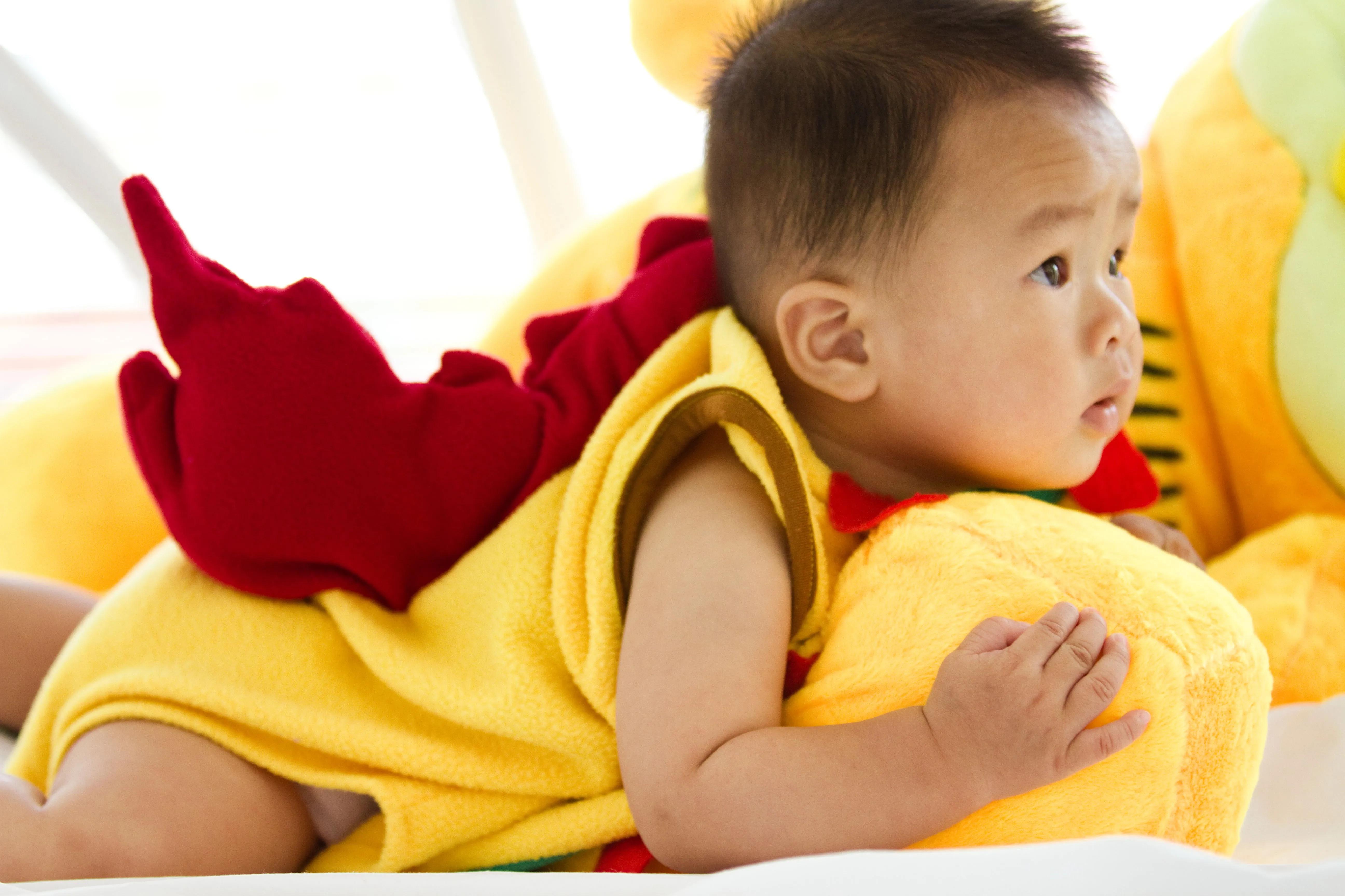 一个新生命的诞生,一个新生命孕育过程的视频