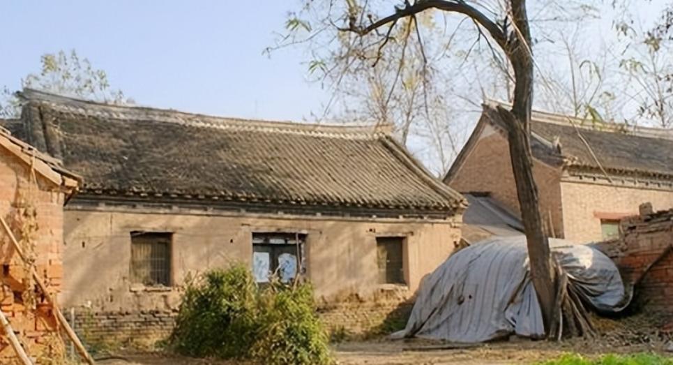 有的亲戚真的注定没有缘分吧！看着舅妈和姑姑的脸我决定之后不会