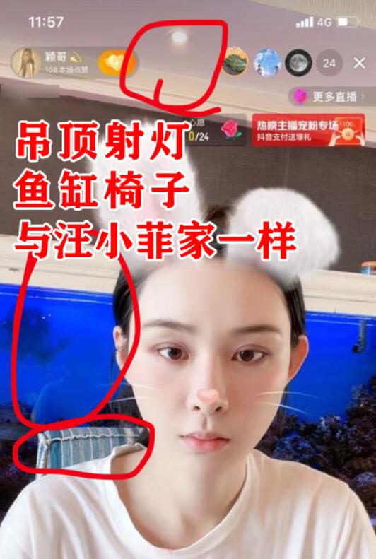 汪小菲持续发声再惹争议,汪小菲回复最新评论