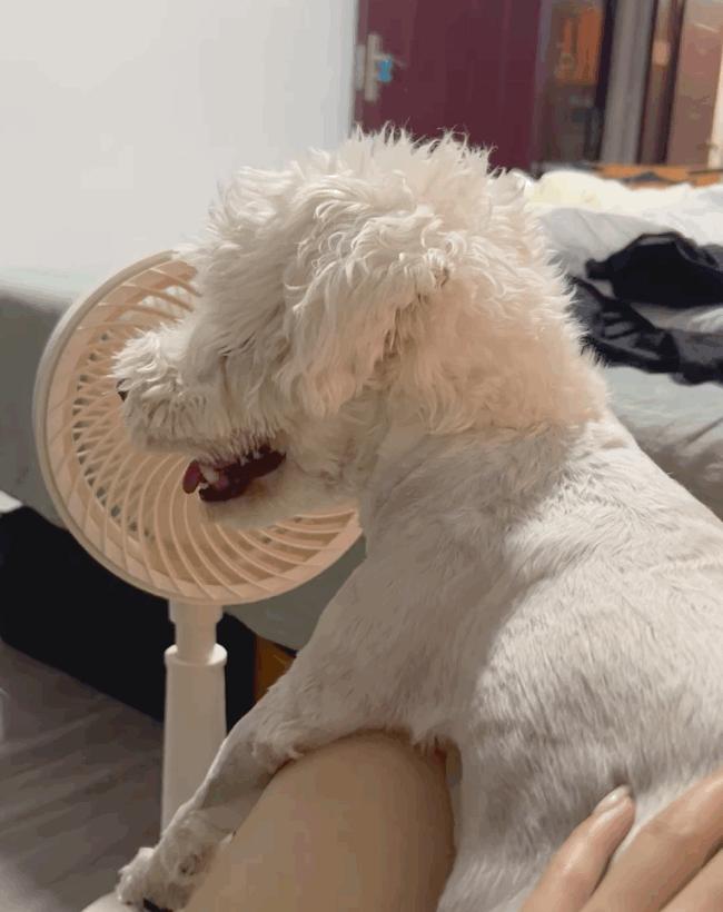 这女人一露脸,我就想为她花钱…