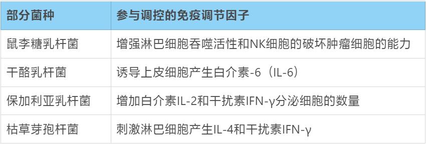 芽孢杆菌被你忽视的益生菌之王,芽孢杆菌抑制有害菌