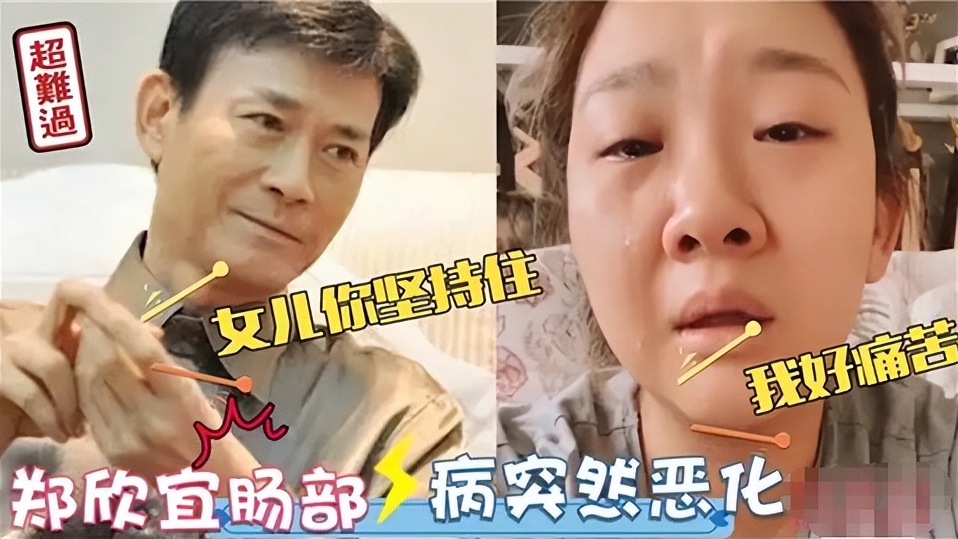 郑欣宜助阵郑少秋视频,郑欣宜郑少秋修复关系