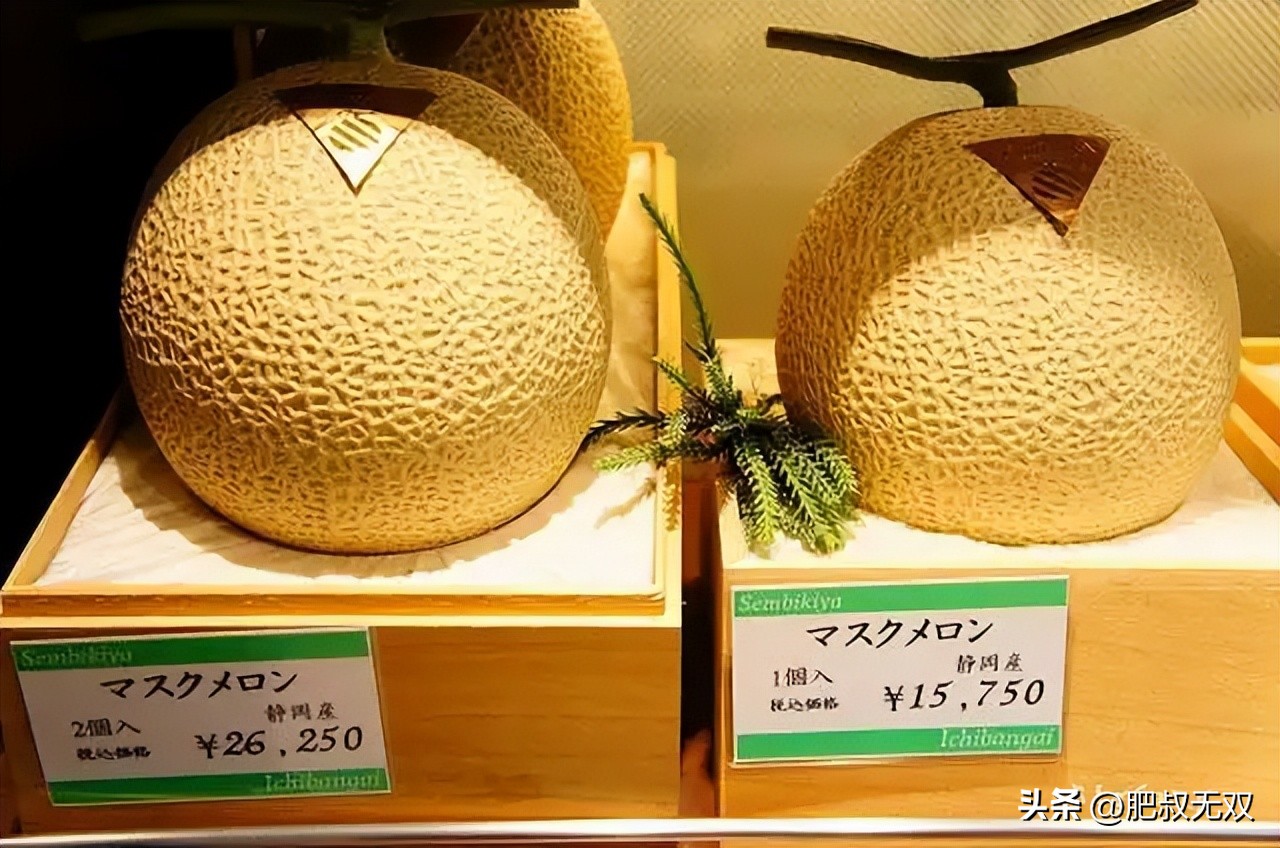 韩国人吃不起肉，日本人吃不起西瓜，大陆人吃不起茶叶蛋？