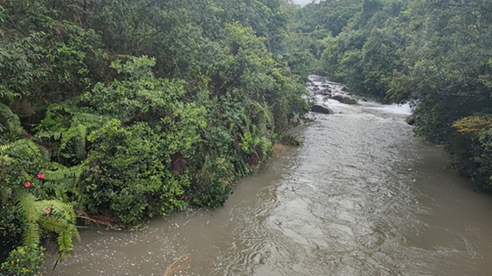 最厉害植物名称大全,5种类型植物名称