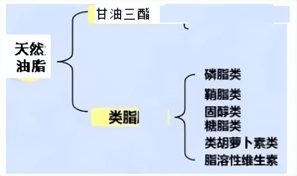食用油的脂肪含量什么样的是好的,食物油和食用油有什么区别
