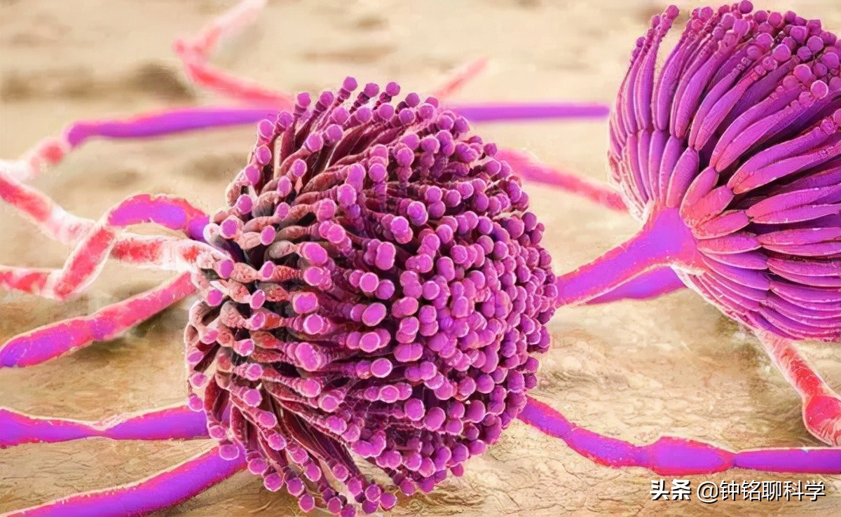 十多年的普洱熟茶还能喝吗有毒吗,普洱茶熟茶15年能喝吗