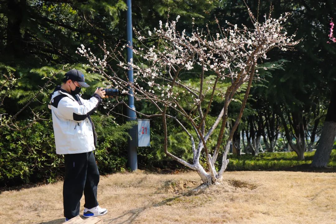 花海遇知音的下一句,花海遇知音汉阳喊你来赏花