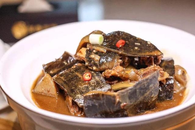 巴西龟是侵略物种吗,巴西龟泛滥成灾的危害