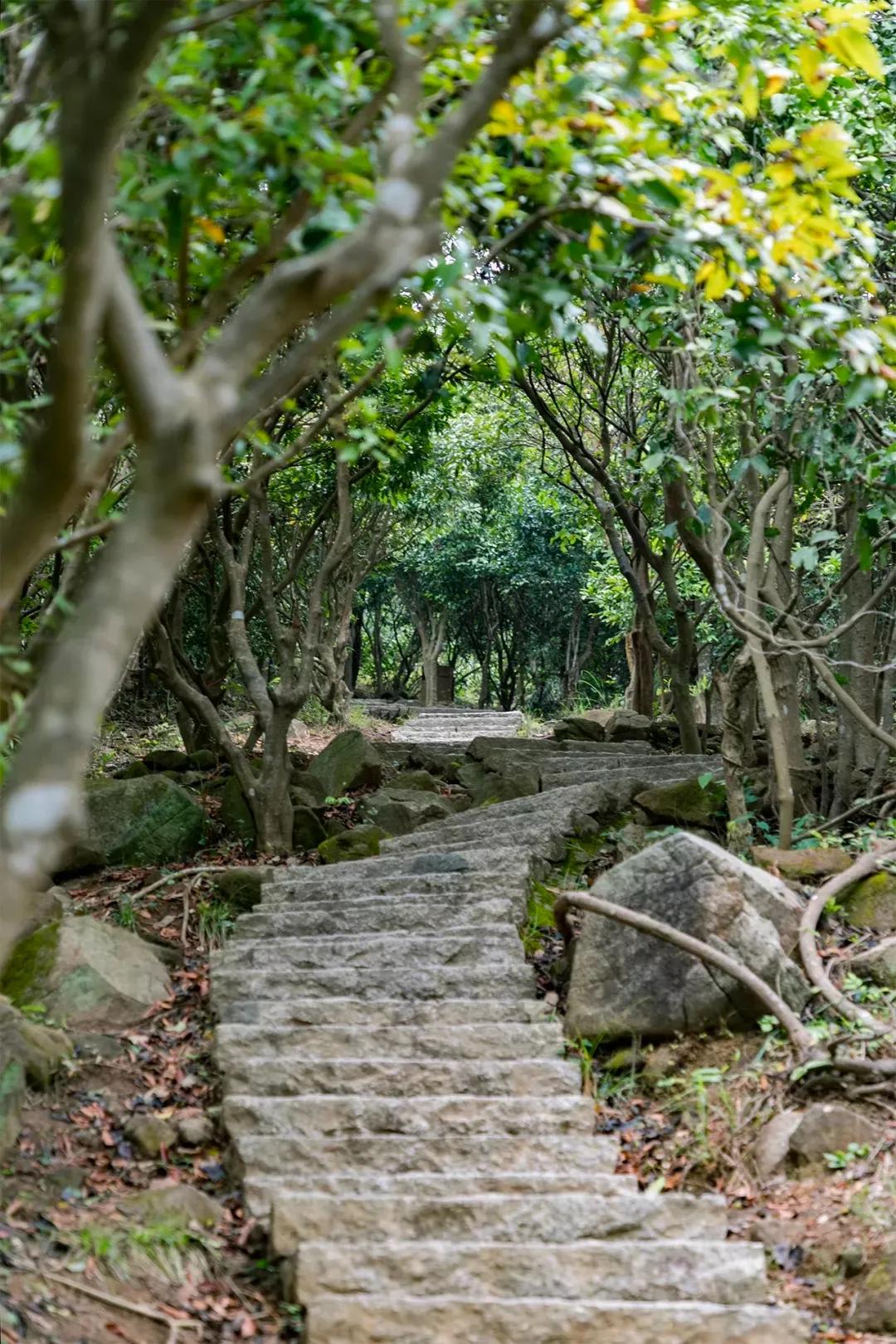 深圳最值得爬的景点,深圳十大最值得爬的山