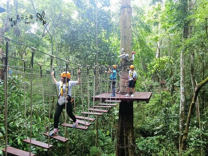 云南西双版纳旅游攻略app,云南西双版纳旅游攻略自由行12月