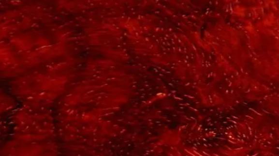 小叶紫檀小案上案,关于小叶紫檀的问答