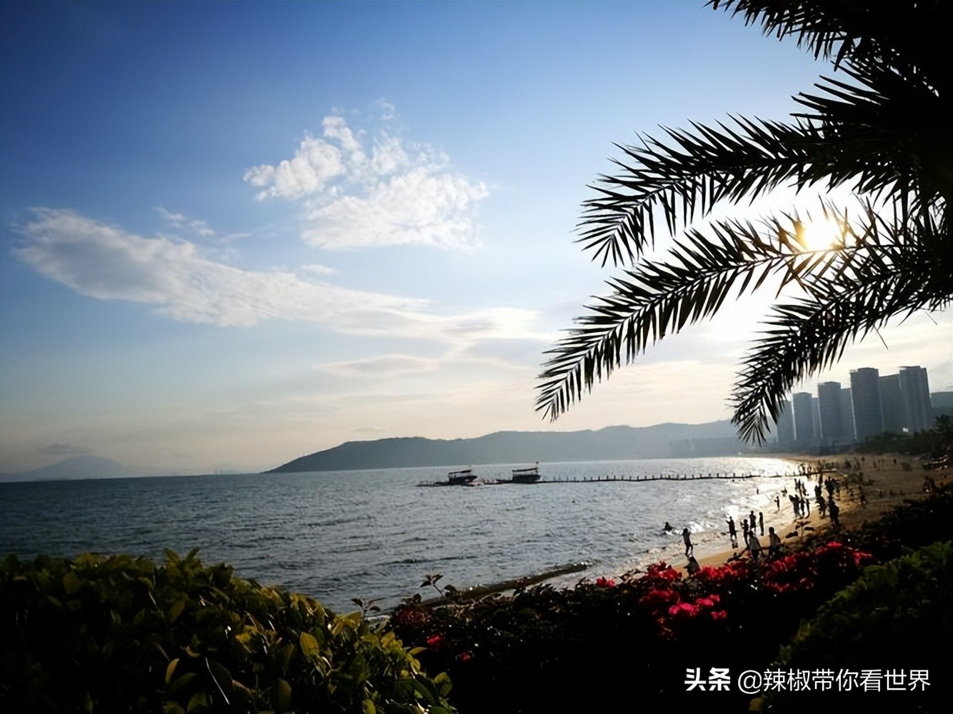 惠州市海岸线,惠州的海岸线