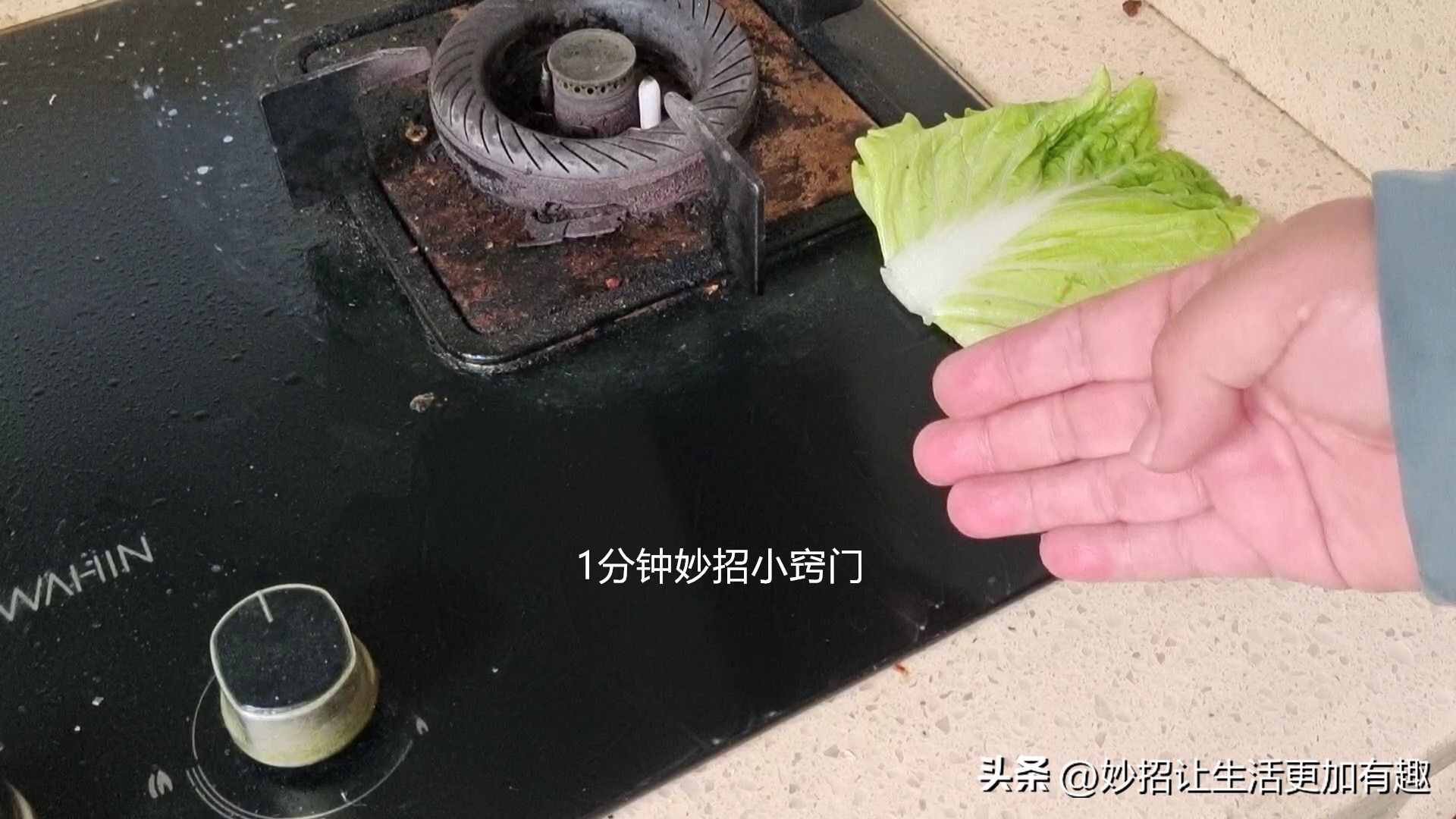 用白菜叶擦油烟机,油烟机上的白菜叶怎么清理