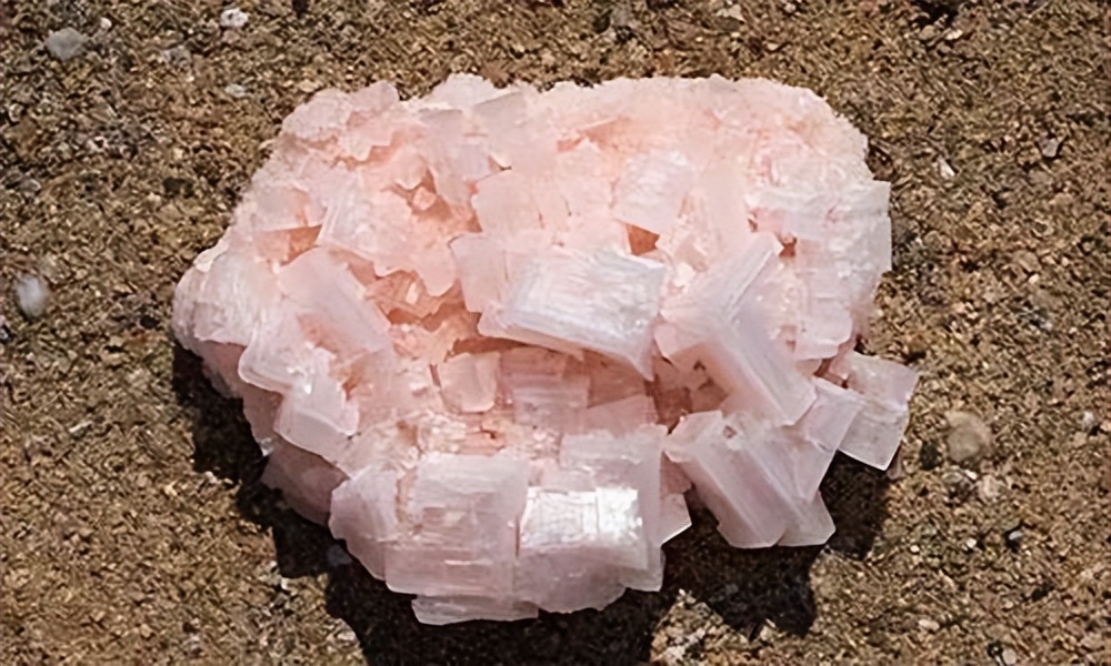 道教的内丹和外丹,道家外丹术语