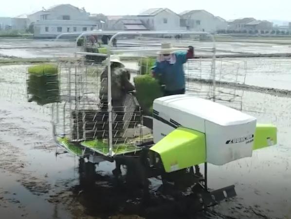 2023插秧机市场,本地精品插秧机厂家直销