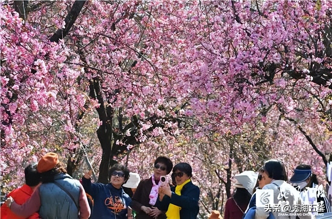 有一种生活叫云南四季,《有一种叫云南的生活》