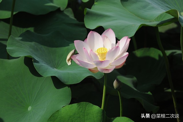 婆婆觉得我家钱是她儿子赚得，用的很心安，我妈却不舍的用我们的