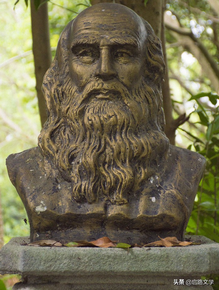 达芬奇名言名句励志,达芬奇的名言名句短