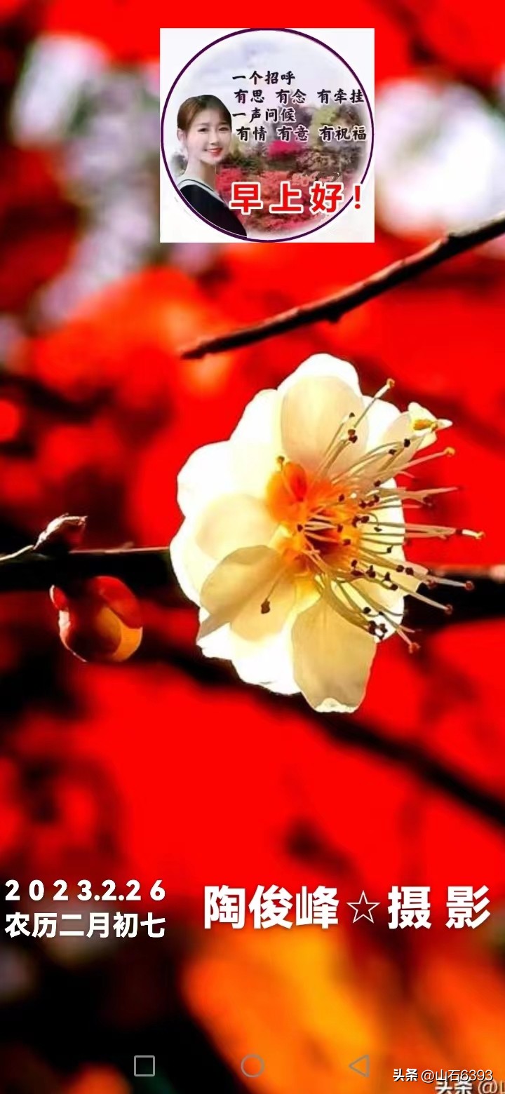 【战友美文】丁献礼“小诗余味”32:《来吧——与我一起种地吧》