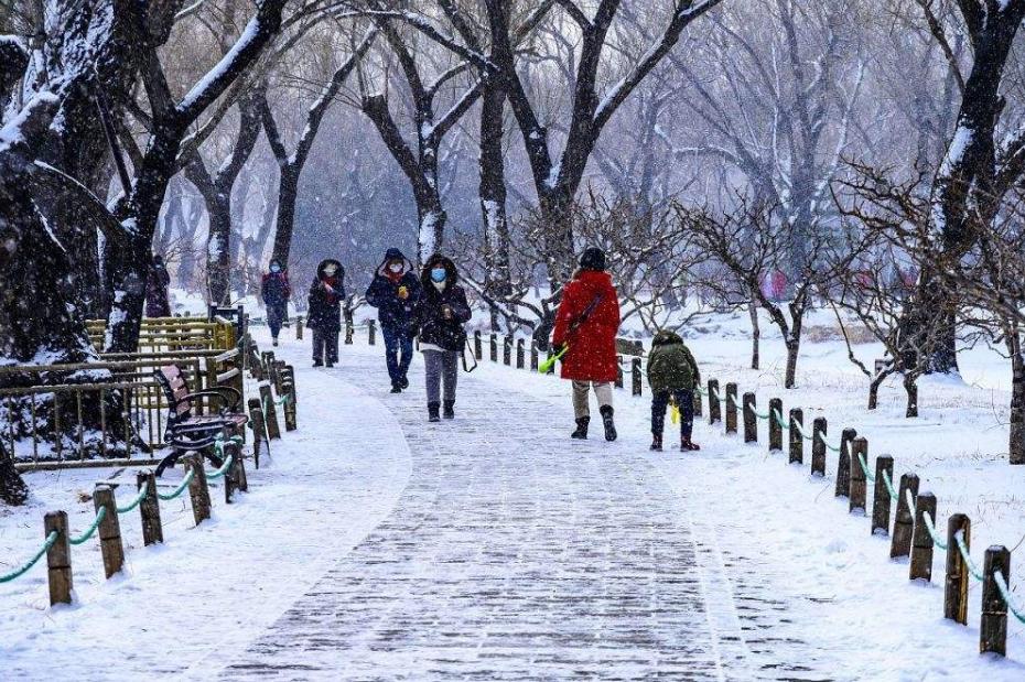 2022年春节是数九第几天,2020年春节数九第几天是几月几号