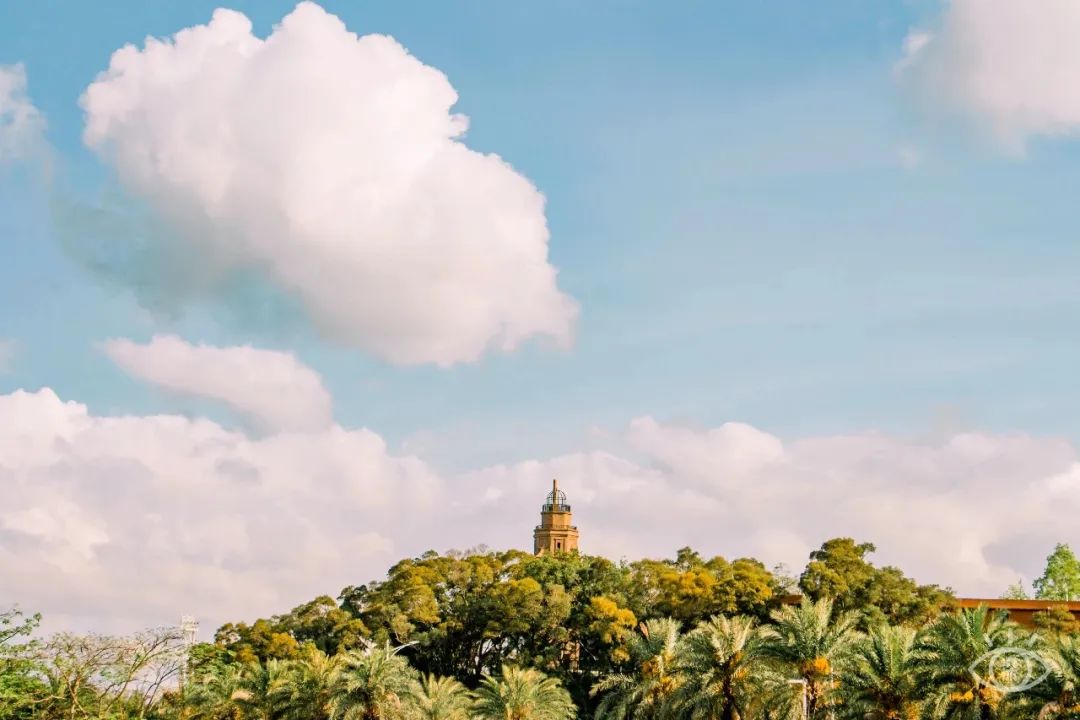 不用出国在深圳看到的美景,深圳有什么景点去看的不要钱的