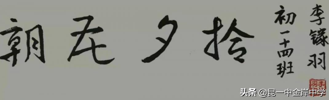 融合创新采撷精彩——《朝花夕拾》之重回百花园，绽放生命的美