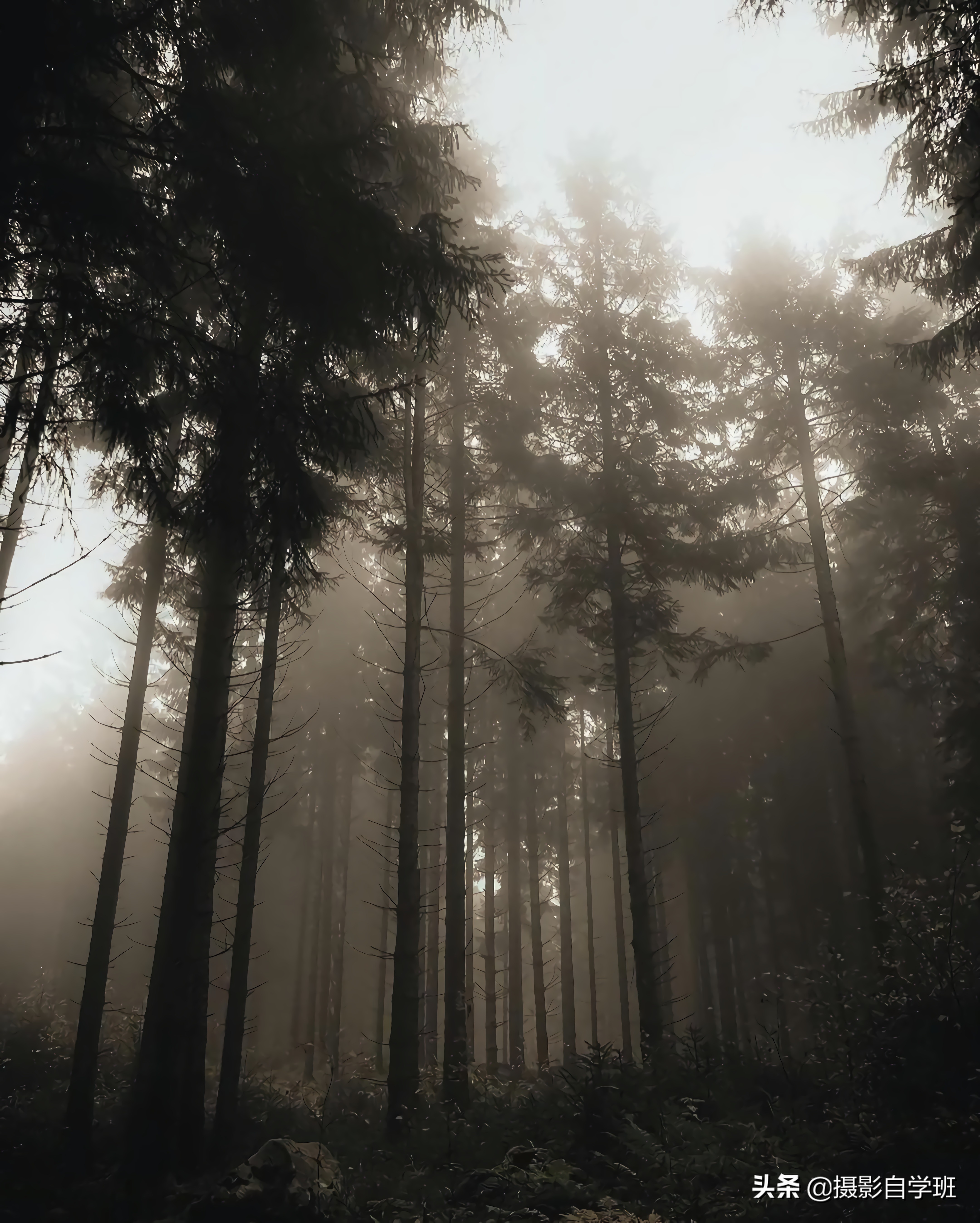 拍风光照的12个摄影技巧,怎么拍最漂亮风景摄影技法