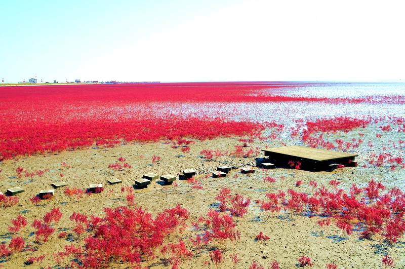 辽宁盘锦在哪个地方,去盘锦旅游哪里好