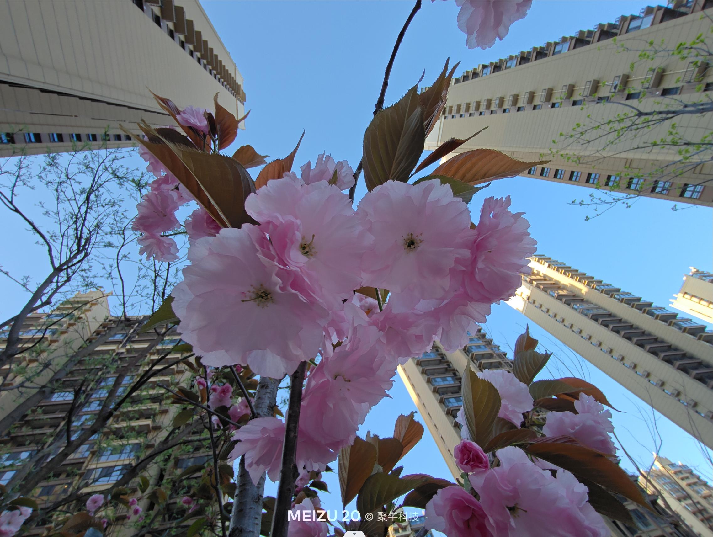 魅族20classic和魅族20差异,魅族20标准版有什么缺点