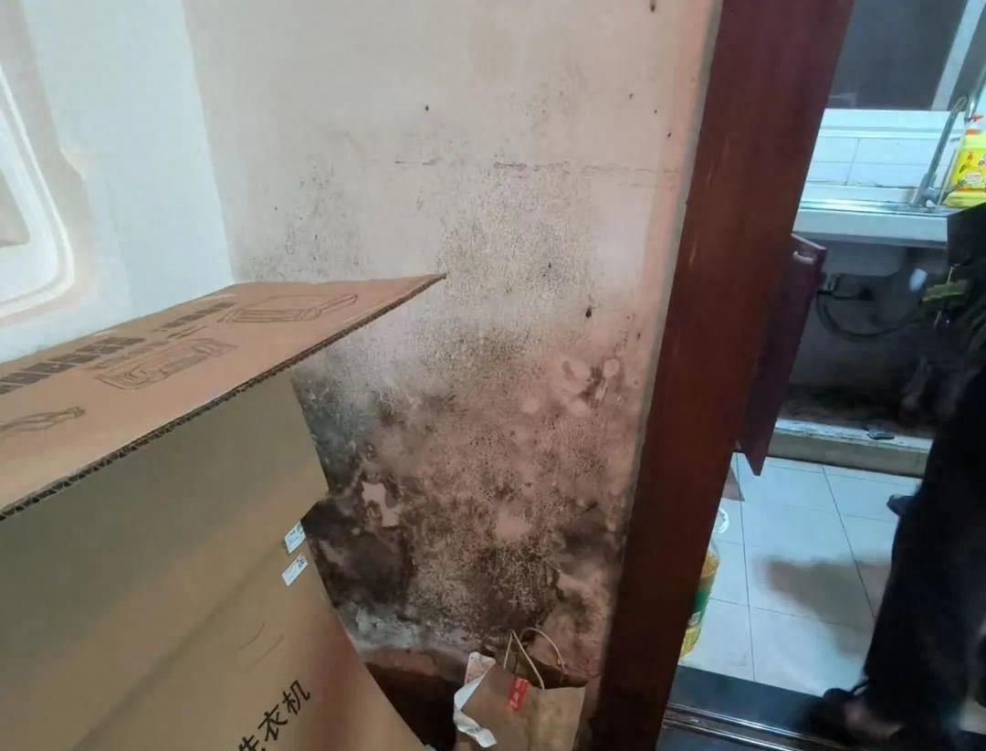 作孽原版视频,作孽完整版