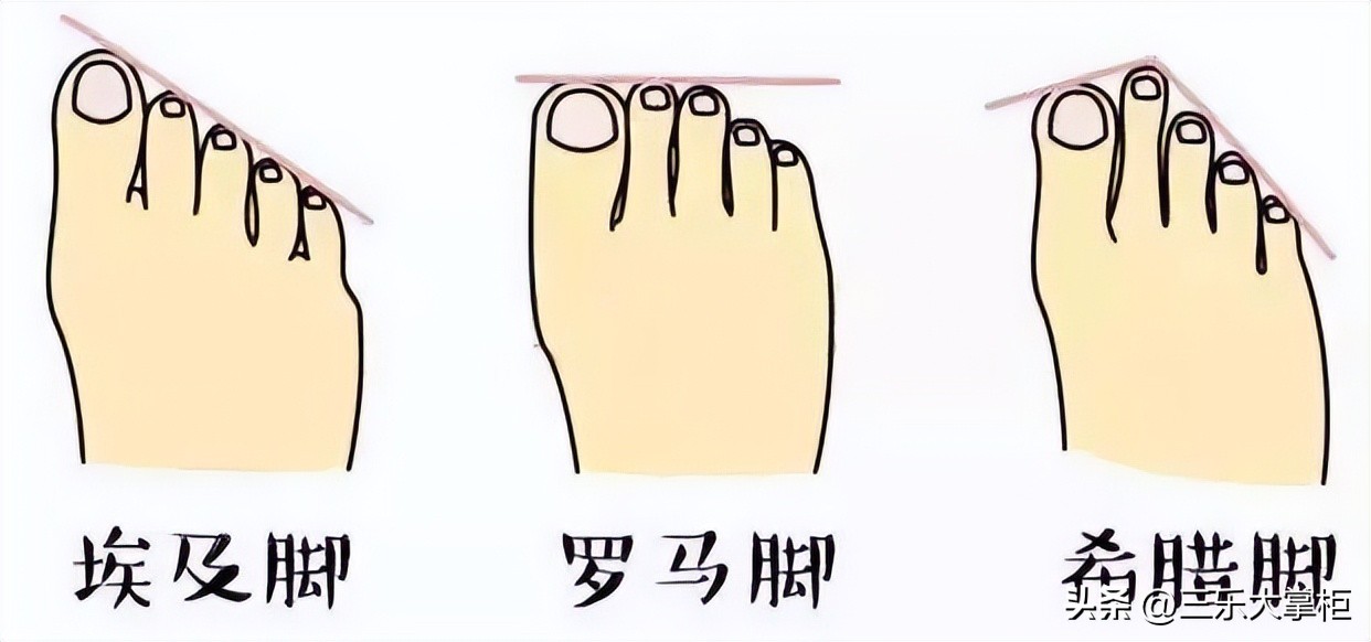 希腊脚的女生颜值怎么样,埃及脚型和希腊脚型有什么区别