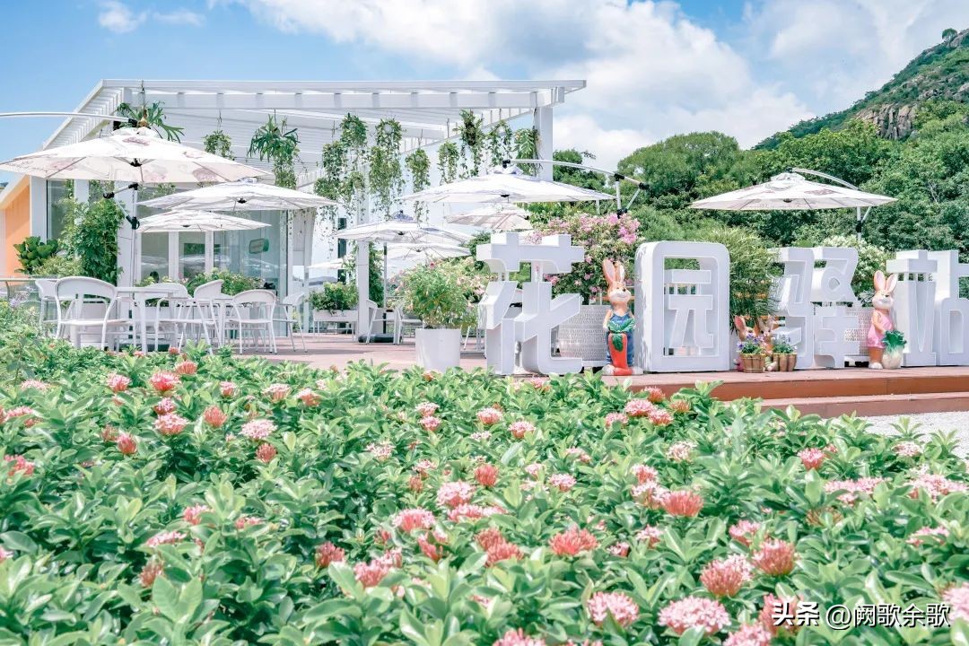 珠海横琴十大景点每一帧画面都浪漫、绝美、惊艳！附假期游玩攻略