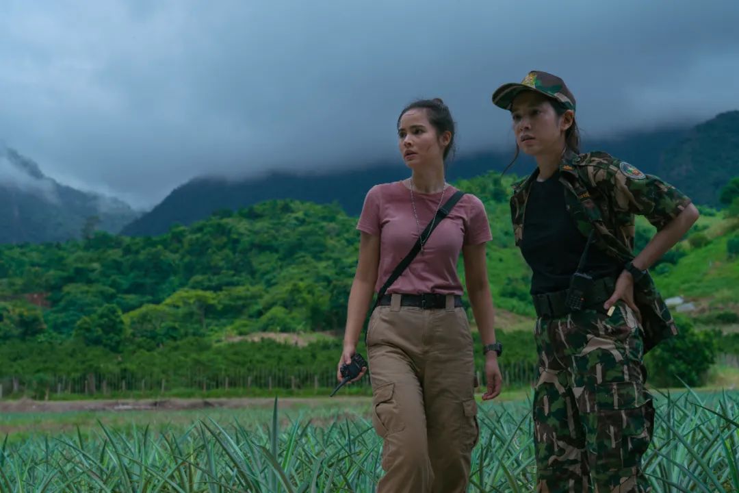 豆瓣9.1，看完腿都软了